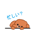 トイプーのルナちゃん（個別スタンプ：26）