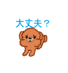トイプーのルナちゃん（個別スタンプ：29）