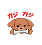 トイプーのルナちゃん（個別スタンプ：31）