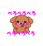 トイプーのルナちゃん（個別スタンプ：33）