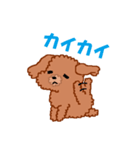 トイプーのルナちゃん（個別スタンプ：34）