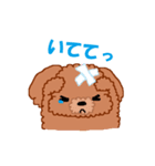 トイプーのルナちゃん（個別スタンプ：38）