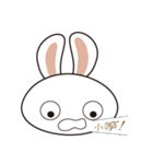 Ling's Snow Rabbit（個別スタンプ：30）