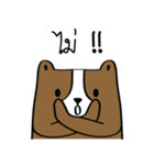 Bear Husband（個別スタンプ：4）