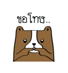 Bear Husband（個別スタンプ：17）