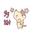 Taiwan's cute cats（個別スタンプ：1）