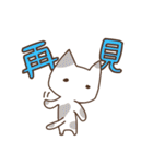 Taiwan's cute cats（個別スタンプ：8）