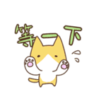 Taiwan's cute cats（個別スタンプ：9）