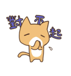 Taiwan's cute cats（個別スタンプ：11）