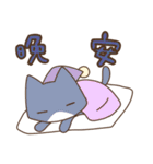 Taiwan's cute cats（個別スタンプ：13）