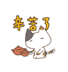 Taiwan's cute cats（個別スタンプ：21）