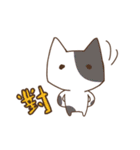 Taiwan's cute cats（個別スタンプ：27）