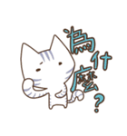 Taiwan's cute cats（個別スタンプ：40）