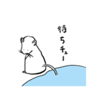 しろチュー（個別スタンプ：11）