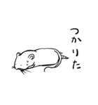 しろチュー（個別スタンプ：20）