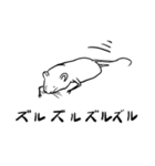 しろチュー（個別スタンプ：28）