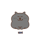 Jiggling Cat（個別スタンプ：19）