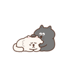 Jiggling Cat（個別スタンプ：24）