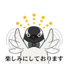 ビジネスなペンギン（個別スタンプ：30）