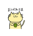 困り顔ねこ ☆こまっち☆（個別スタンプ：11）