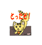 アクティブタイガーキャット（個別スタンプ：7）