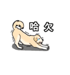 dog face off sticker（個別スタンプ：22）