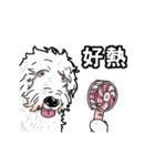 dog face off sticker（個別スタンプ：23）