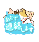 ねこネコ猫neko（個別スタンプ：34）