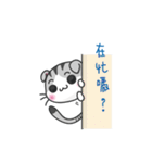 CHUMEA（個別スタンプ：30）