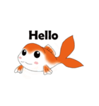 Goldfish daily（個別スタンプ：1）