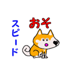 日本 柴犬 4（個別スタンプ：3）