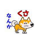 日本 柴犬 4（個別スタンプ：5）