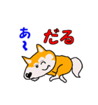 日本 柴犬 4（個別スタンプ：6）