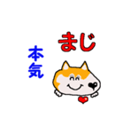 日本 柴犬 4（個別スタンプ：16）