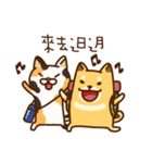 太い柴犬と台湾語（個別スタンプ：9）