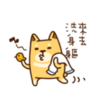 太い柴犬と台湾語（個別スタンプ：34）