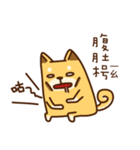 太い柴犬と台湾語（個別スタンプ：36）