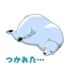 クマさんずスタンプ（個別スタンプ：16）