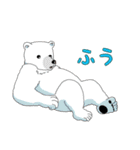 クマさんずスタンプ（個別スタンプ：17）