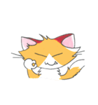 Foxy The Cat（個別スタンプ：10）