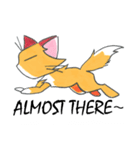 Foxy The Cat（個別スタンプ：14）