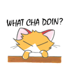 Foxy The Cat（個別スタンプ：24）