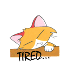 Foxy The Cat（個別スタンプ：39）