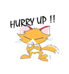 Foxy The Cat（個別スタンプ：40）