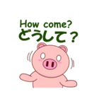 Pigilito Pig 3（個別スタンプ：1）