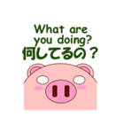 Pigilito Pig 3（個別スタンプ：40）