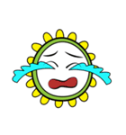 Mr. Sunflower (English)（個別スタンプ：29）