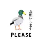 動物づくし（個別スタンプ：6）