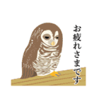 動物づくし（個別スタンプ：13）