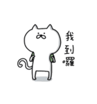 White soft cat（個別スタンプ：37）